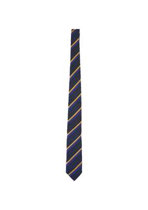 Wairarapa College School Tie