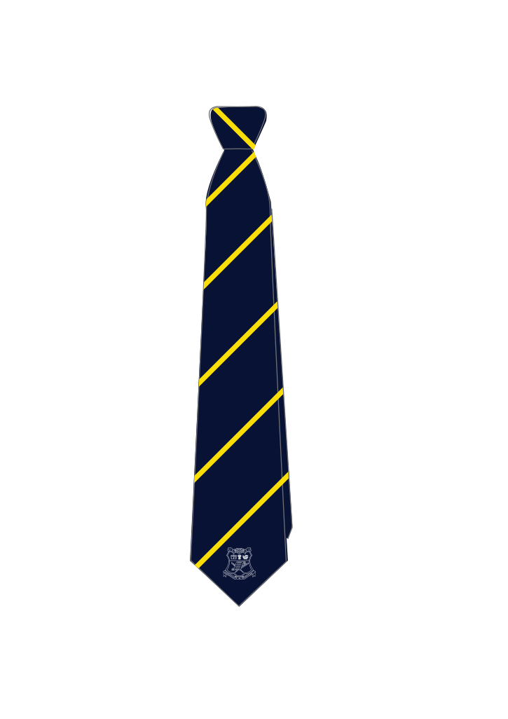 Wairarapa College Year 9-13 Tie Navy/Yellow 1SZ